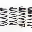 Load image into Gallery viewer, RS-R 13+ Subaru BRZ (ZC6) Down Sus Springs - Main Product View