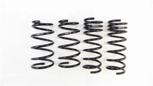 Load image into Gallery viewer, RS-R 13+ Subaru BRZ (ZC6) Down Sus Springs - Main Product View
