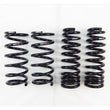 Load image into Gallery viewer, RS-R 2014-2020 Lexus IS250/350 RWD (GSE30/GSE31) Down Sus Springs - Main Product View
