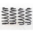 Load image into Gallery viewer, RS-R 2014-2021 Mazda  6 (GJ2FP) Down Sus Springs - Main Product View