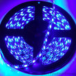 Load image into Gallery viewer, Race Sport 16ft (5M) 5050 LED Strip (Blue) - Tape Strip Reel Custom Lighting System