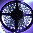 Load image into Gallery viewer, Race Sport 16ft (5M) 5050 LED Strip (White) - Tape Strip Reel Custom Lighting System
