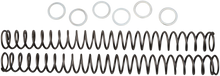 Load image into Gallery viewer, Race Tech Fork Springs - 0.38 kg/mm - Main Product View
