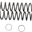 Load image into Gallery viewer, Race Tech Fork Springs - 0.38 kg/mm - Main Product View