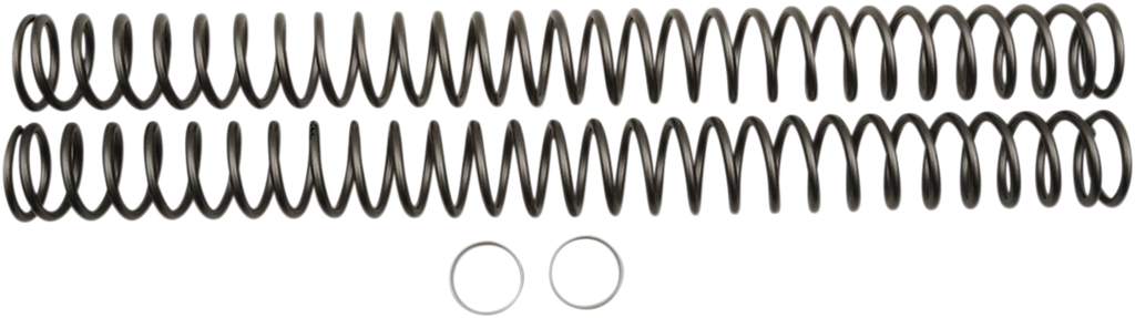 Race Tech Fork Springs - 0.38 kg/mm - Main Product View