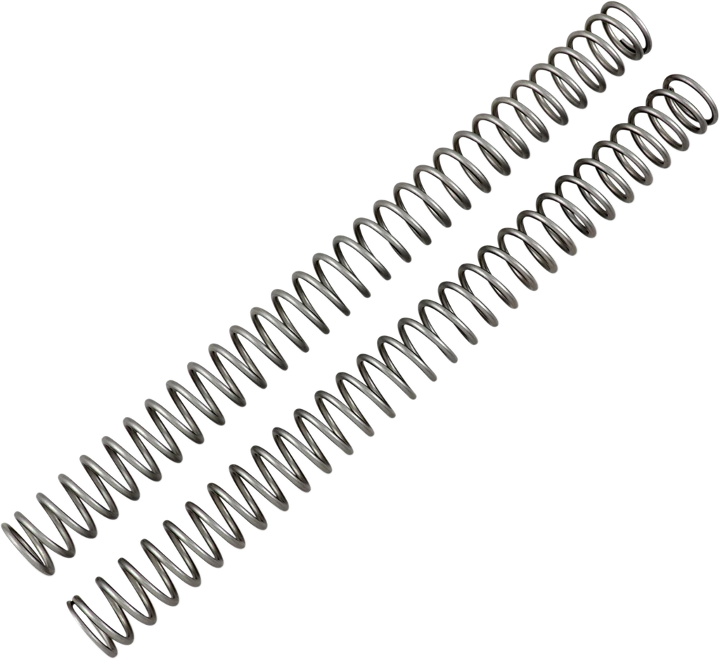 Race Tech Fork Springs - 0.38 kg/mm - Main Product View