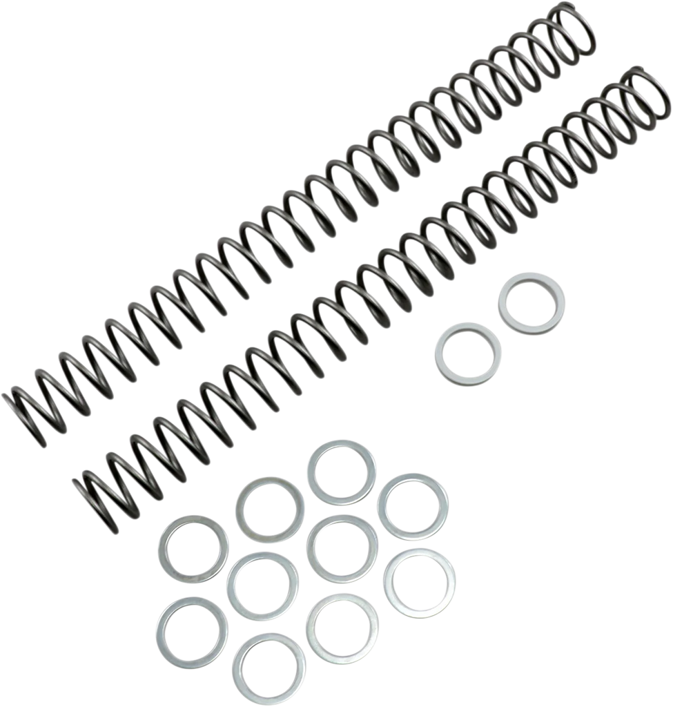 Race Tech Fork Springs - 0.40 kg/mm - Main Product View