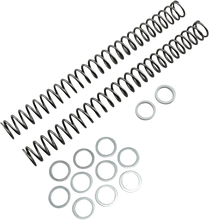 Load image into Gallery viewer, Race Tech Fork Springs - 0.40 kg/mm - Main Product View