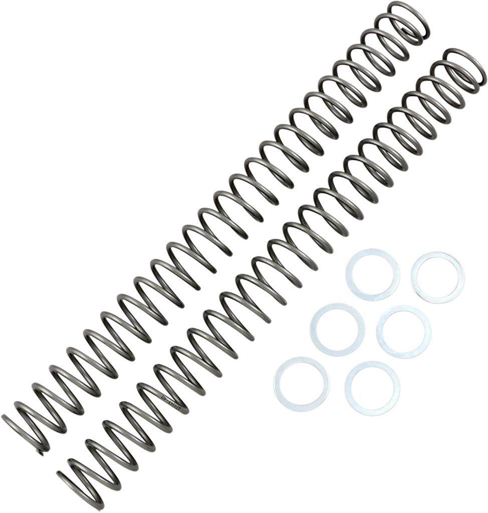 Race Tech Fork Springs - 0.40 kg/mm - Main Product View