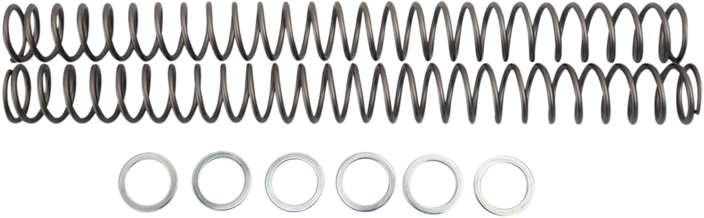 Race Tech Fork Springs - 0.40 kg/mm - Main Product View