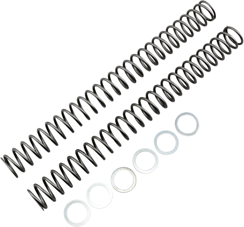 Race Tech Fork Springs - 0.42 kg/mm - Main Product View