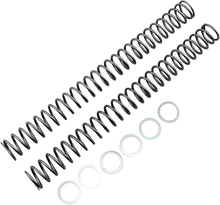Load image into Gallery viewer, Race Tech Fork Springs - 0.42 kg/mm - Main Product View