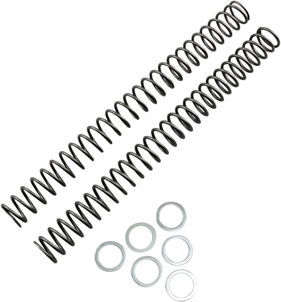 Race Tech Fork Springs - 0.42 kg/mm - Main Product View