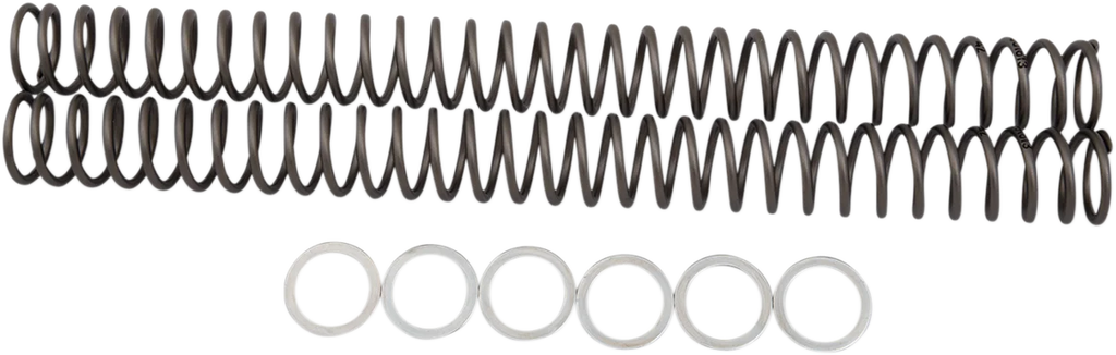 Race Tech Fork Springs - 0.42 kg/mm - Main Product View
