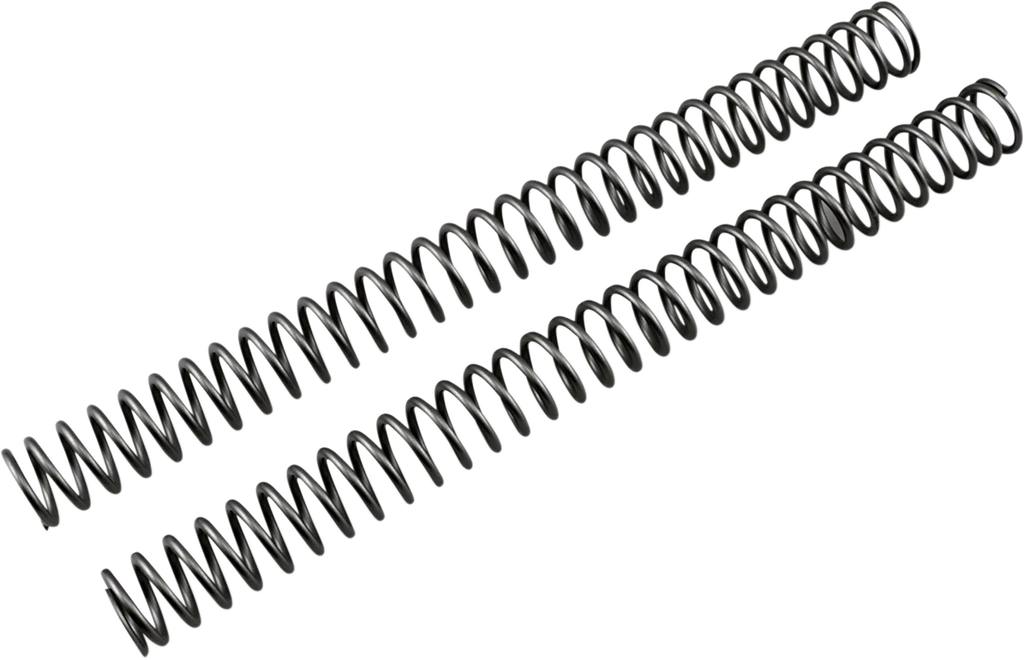 Race Tech Fork Springs - 0.42 kg/mm - Main Product View