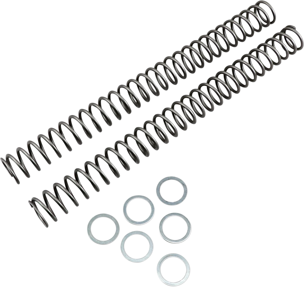 Race Tech Fork Springs - 0.44 kg/mm - Main Product View