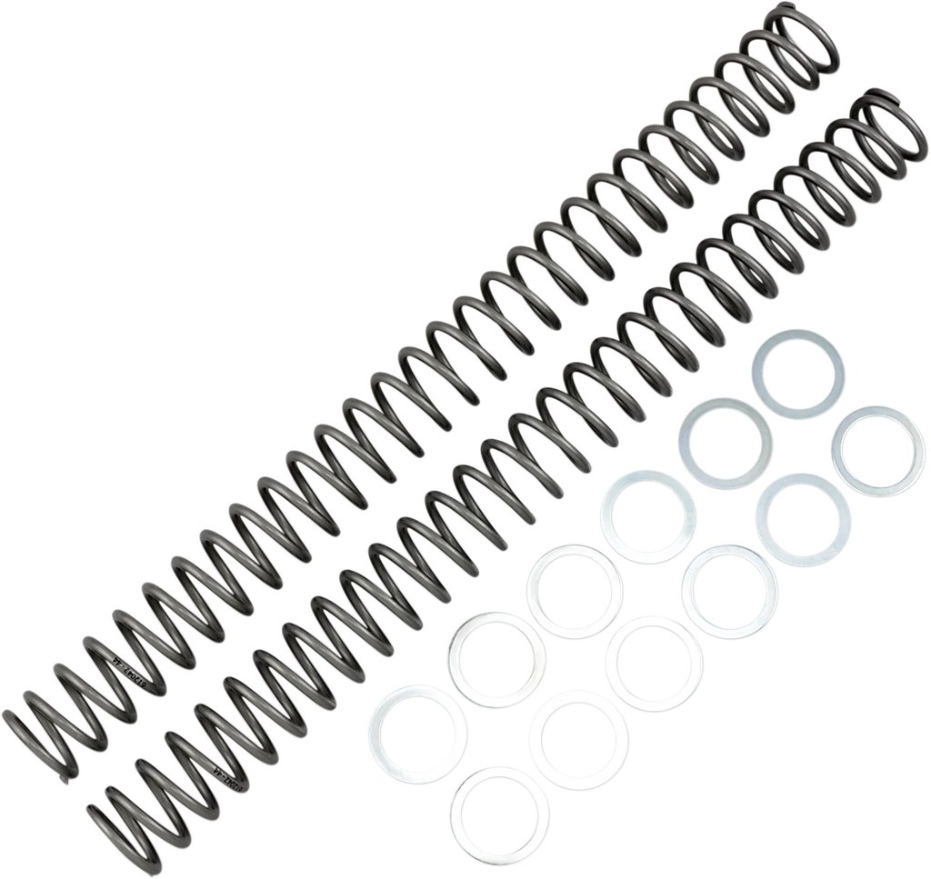 Race Tech Fork Springs - 0.44 kg/mm - Main Product View