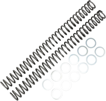 Load image into Gallery viewer, Race Tech Fork Springs - 0.44 kg/mm - Main Product View