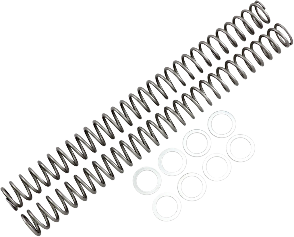 Race Tech Fork Springs - 0.44 kg/mm - Main Product View