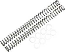 Load image into Gallery viewer, Race Tech Fork Springs - 0.44 kg/mm - Main Product View