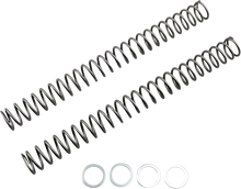 Load image into Gallery viewer, Race Tech Fork Springs - 0.46 kg/mm - Main Product View
