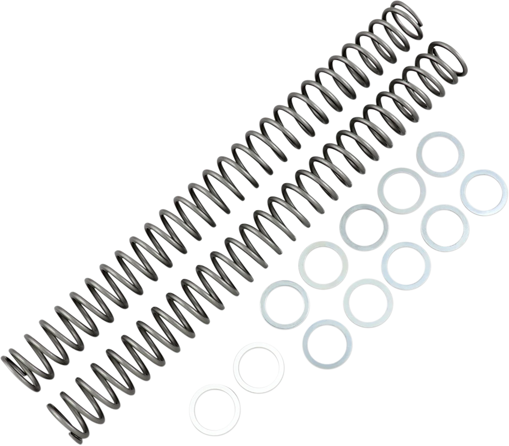 Race Tech Fork Springs - 0.46 kg/mm - Main Product View