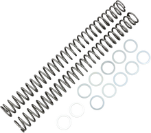 Load image into Gallery viewer, Race Tech Fork Springs - 0.46 kg/mm - Main Product View