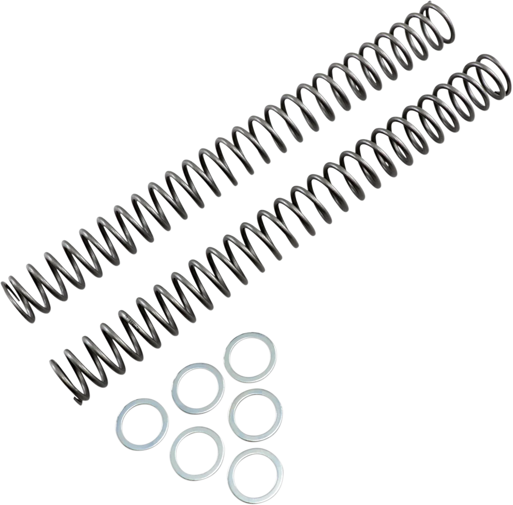 Race Tech Fork Springs - 0.46 kg/mm - Main Product View