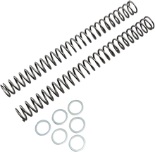 Load image into Gallery viewer, Race Tech Fork Springs - 0.46 kg/mm - Main Product View