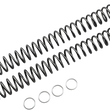 Load image into Gallery viewer, Race Tech Fork Springs - 0.46 kg/mm - Main Product View