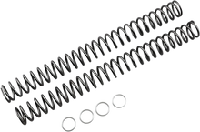 Load image into Gallery viewer, Race Tech Fork Springs - 0.46 kg/mm - Main Product View