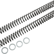 Load image into Gallery viewer, Race Tech Fork Springs - 0.46 kg/mm - Main Product View