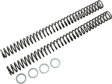 Load image into Gallery viewer, Race Tech Fork Springs - 0.46 kg/mm - Main Product View