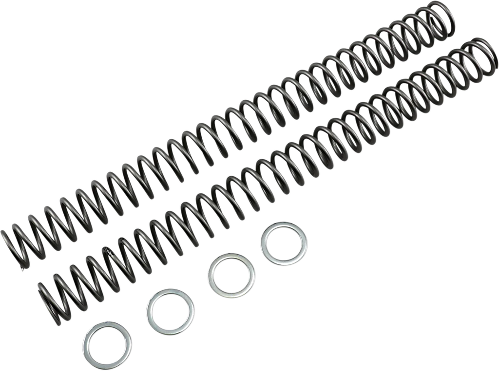 Race Tech Fork Springs - 0.46 kg/mm - Main Product View