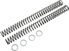 Load image into Gallery viewer, Race Tech Fork Springs - 0.46 kg/mm - Main Product View