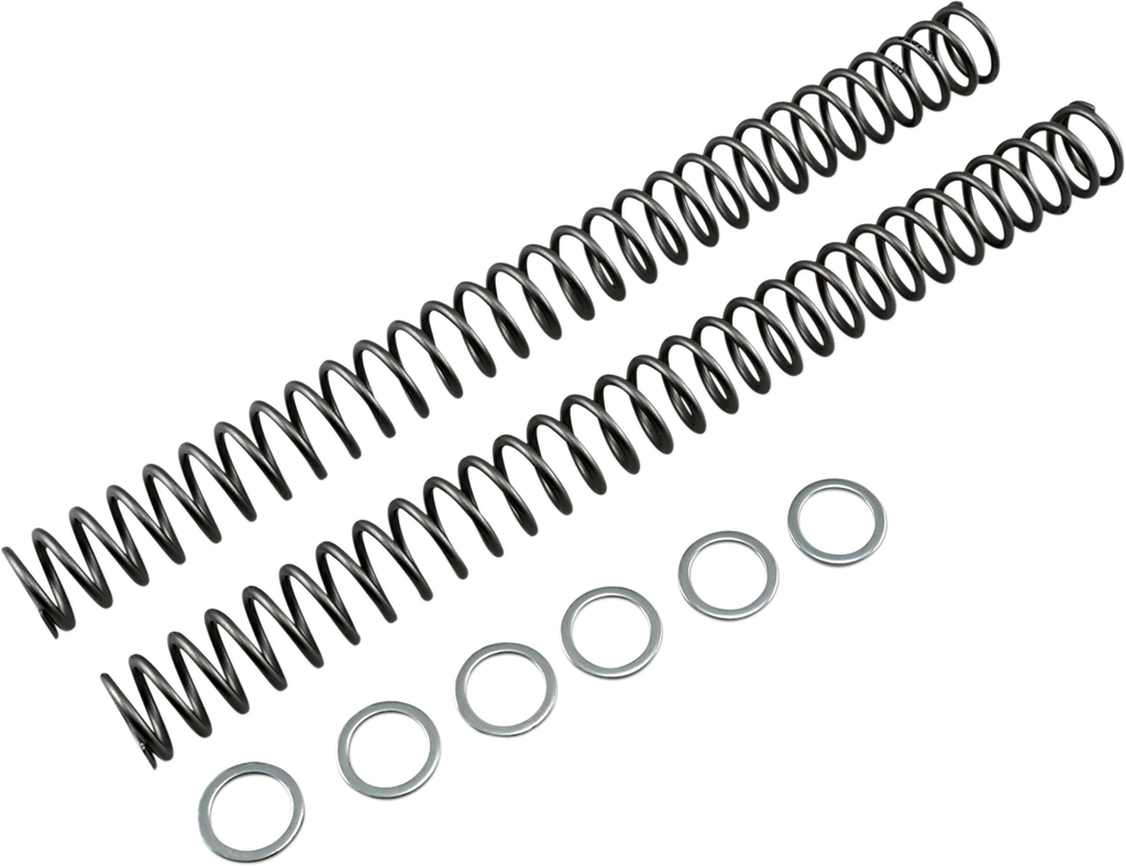 Race Tech Fork Springs - 0.46 kg/mm - Main Product View