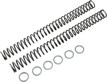 Load image into Gallery viewer, Race Tech Fork Springs - 0.46 kg/mm - Main Product View