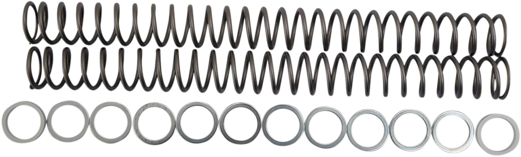 Race Tech Fork Springs - 0.48 kg/mm - Main Product View