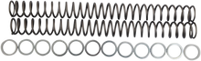 Load image into Gallery viewer, Race Tech Fork Springs - 0.48 kg/mm - Main Product View