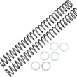 Load image into Gallery viewer, Race Tech Fork Springs - 0.48 kg/mm - Main Product View