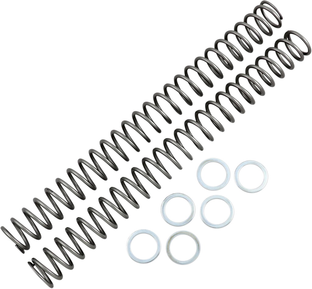 Race Tech Fork Springs - 0.48 kg/mm - Main Product View