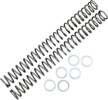 Load image into Gallery viewer, Race Tech Fork Springs - 0.48 kg/mm - Main Product View