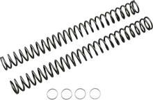 Load image into Gallery viewer, Race Tech Fork Springs - 0.48 kg/mm - Main Product View