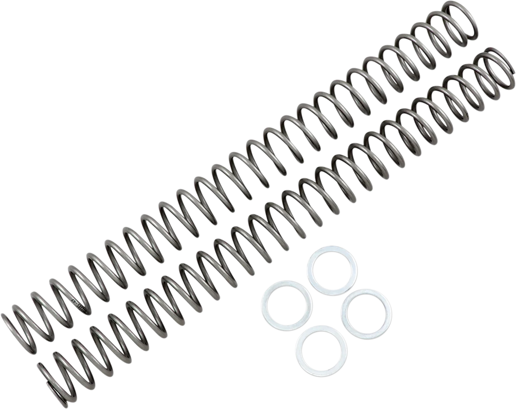 Race Tech Fork Springs - 0.48 kg/mm - Main Product View