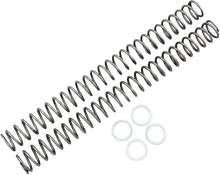 Load image into Gallery viewer, Race Tech Fork Springs - 0.48 kg/mm - Main Product View