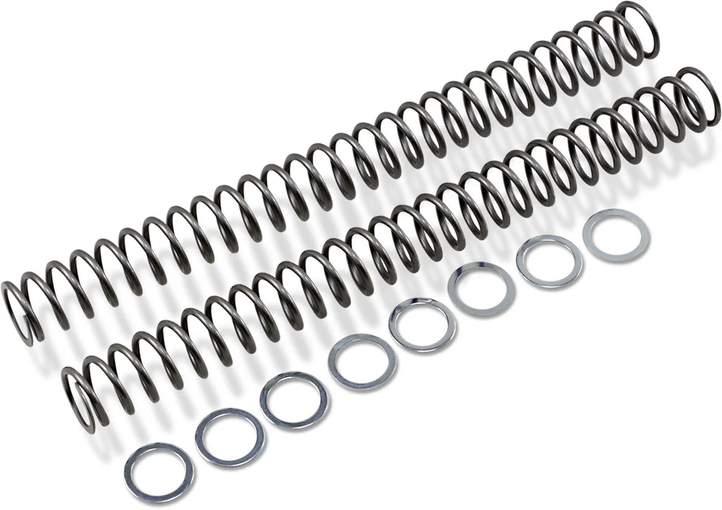 Race Tech Fork Springs - 0.48 kg/mm - Main Product View