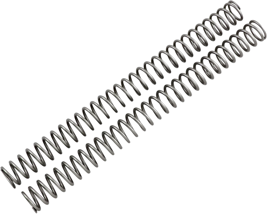 Race Tech Fork Springs - 0.49 kg/mm - Main Product View