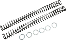 Load image into Gallery viewer, Race Tech Fork Springs - 0.50 kg/mm - Main Product View