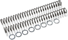 Load image into Gallery viewer, Race Tech Fork Springs - 0.50 kg/mm - Main Product View