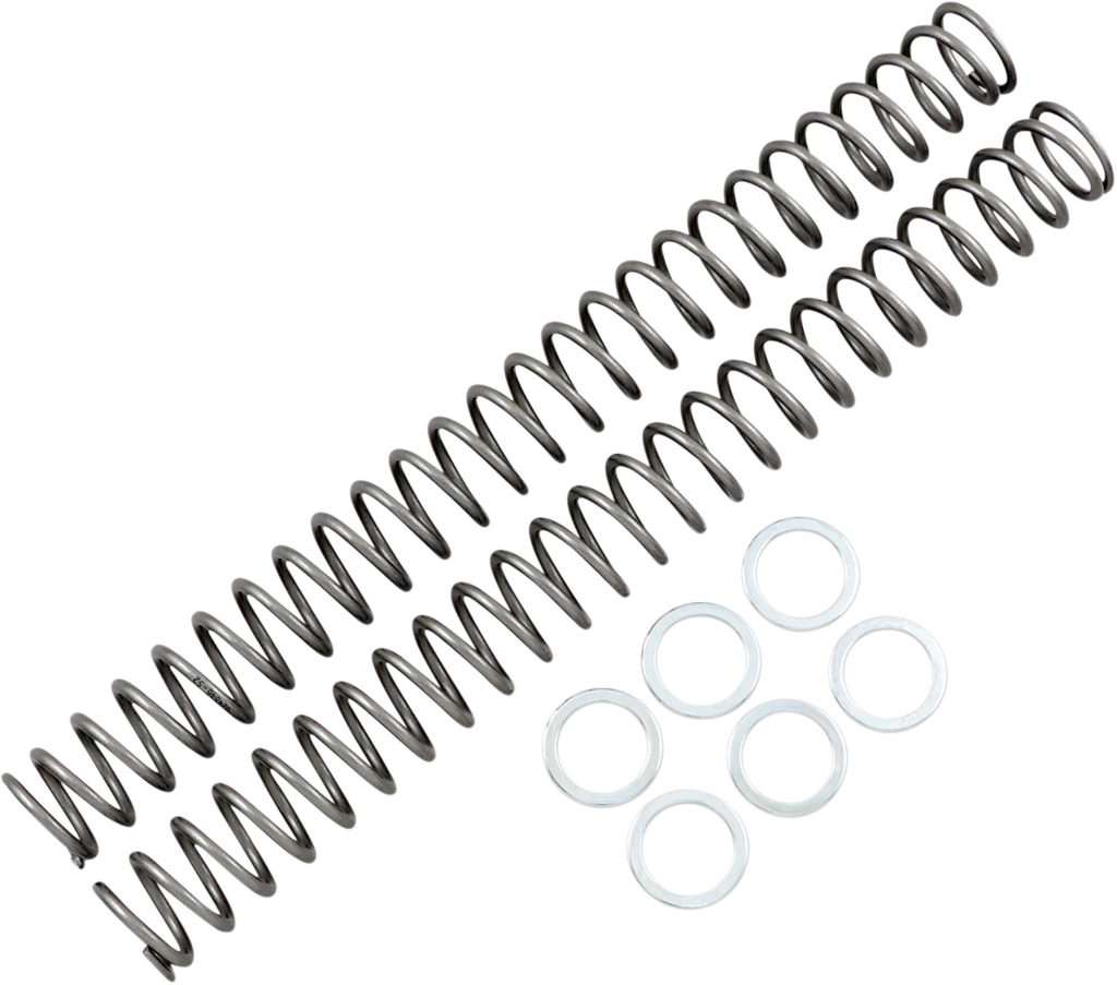 Race Tech Fork Springs - 0.52 kg/mm - Main Product View